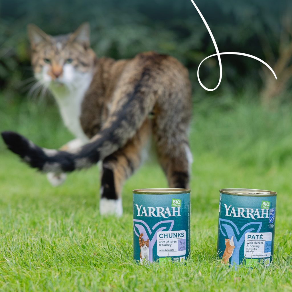 7142 - Yarrah Cat Wet Food Can Chunks Chicken & Turkey - 8714265071423 - 4.webp