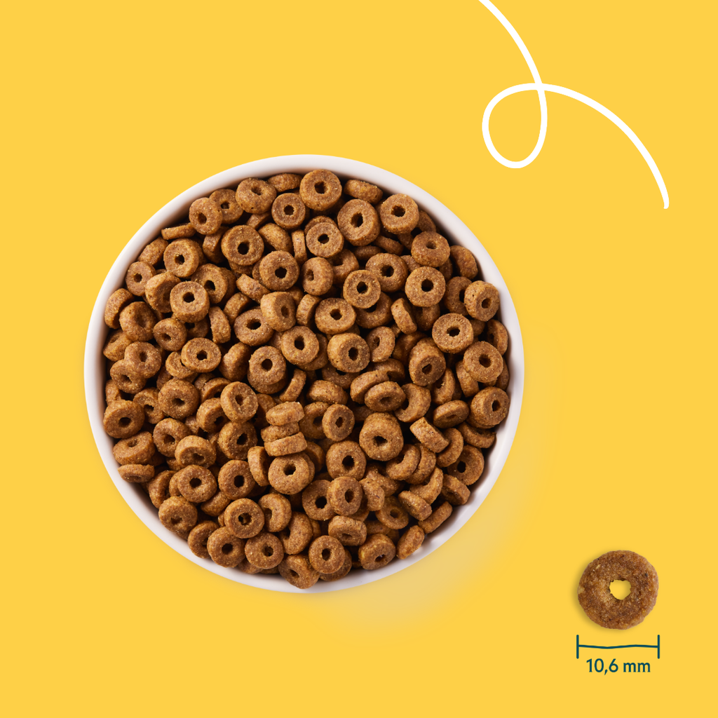 17015 - Yarrah Cat Dry Food Adult Chicken & Fish 10kg - 8714265000126 - 4.webp