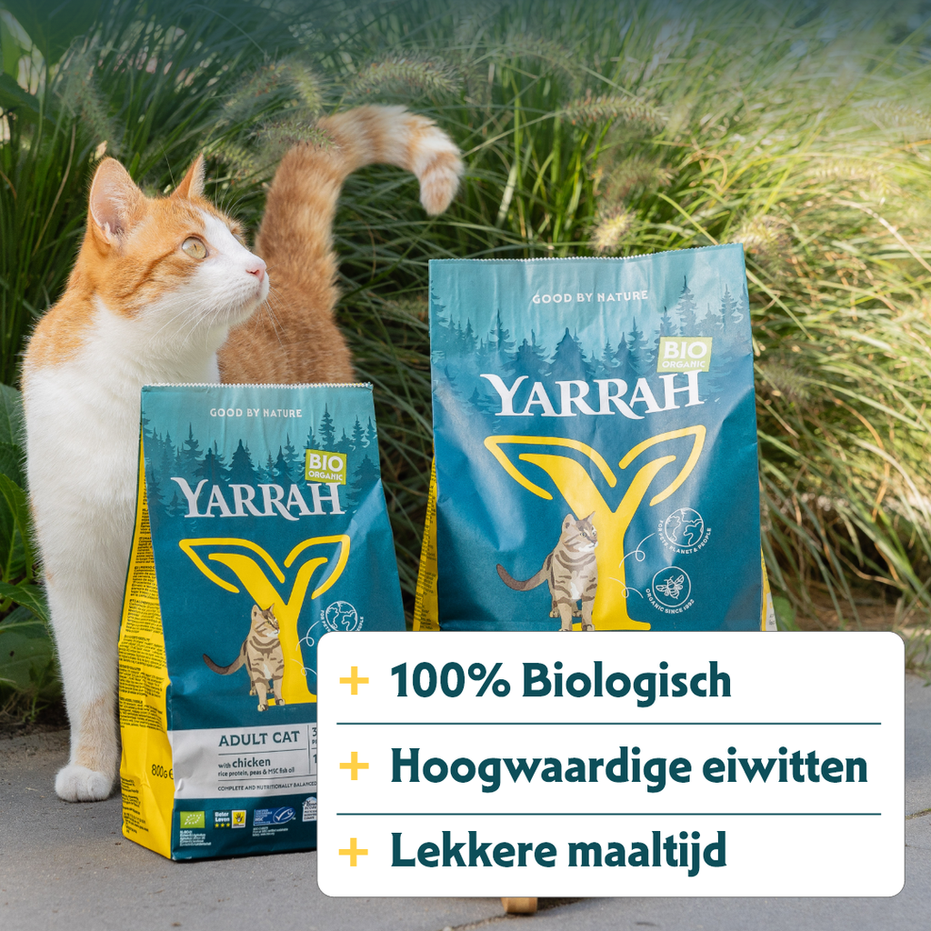 17010 - Yarrah Cat Dry Food Adult Chicken 700g - 8714265000195 - 5.webp