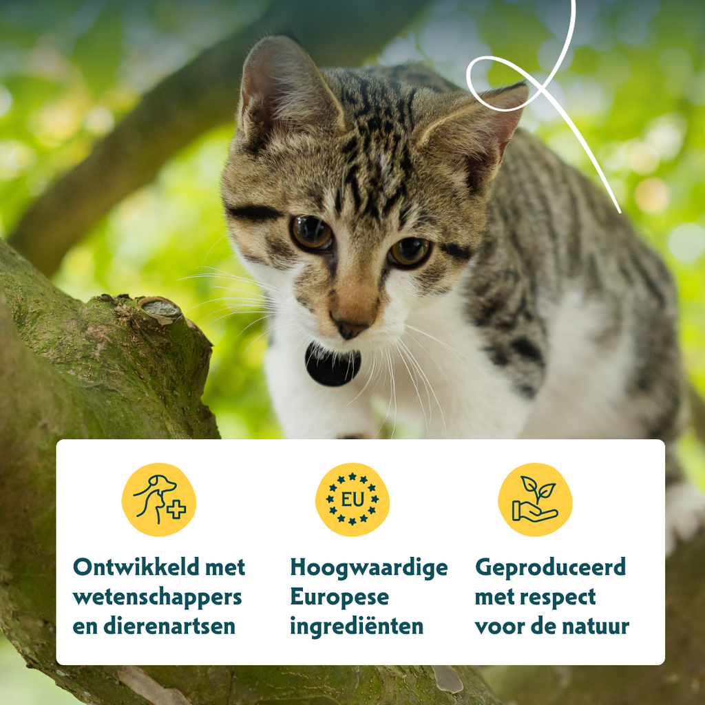 17015 - Yarrah Cat Dry Food Adult Chicken & Fish 10kg - 8714265000126 - 8.webp