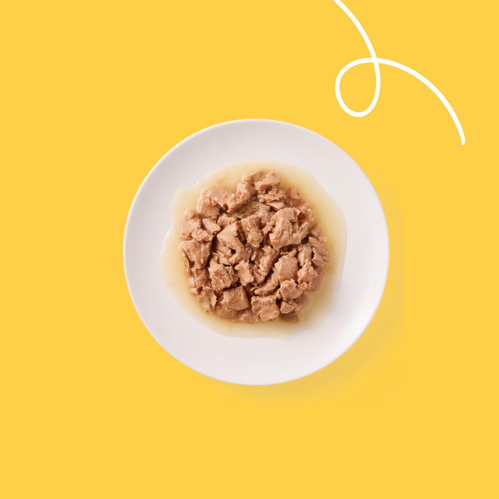 8122 - Yarrah Cat Wet Food Pouch Beef - 8714265000843 - 2.webp