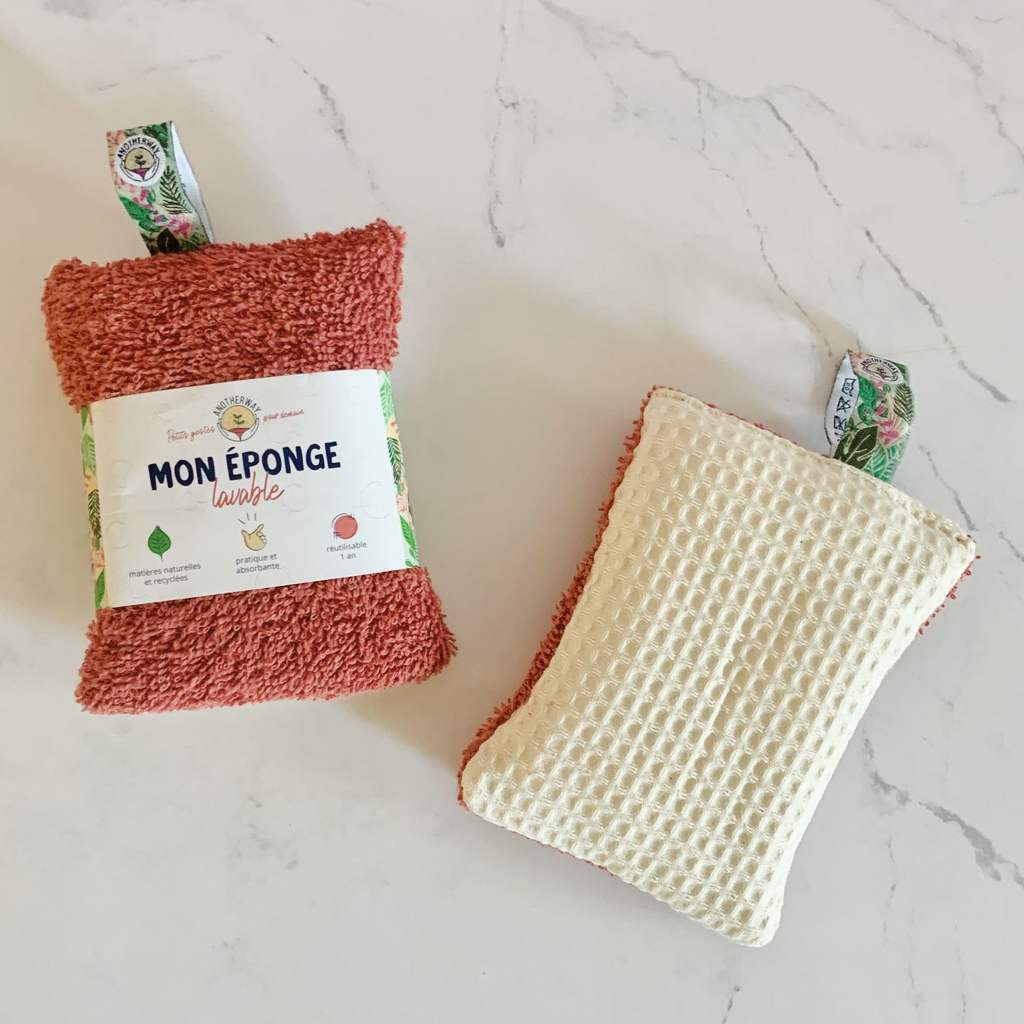 ÉPONGE CORAIL IMG_8458.webp