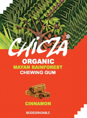 Chewing gum cannelle - 30g