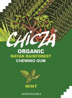 Chewing gum menthe 30g