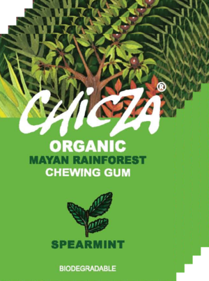 Chewing-gum menthe verte - 30g