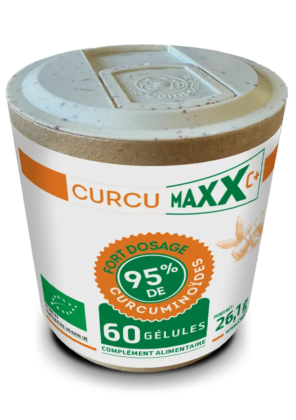 CURCUMAXX extra fort - 60 comprimés