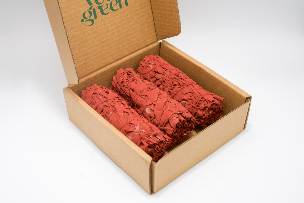 Coffret de 3 sauges sang du Dragon -10 cm