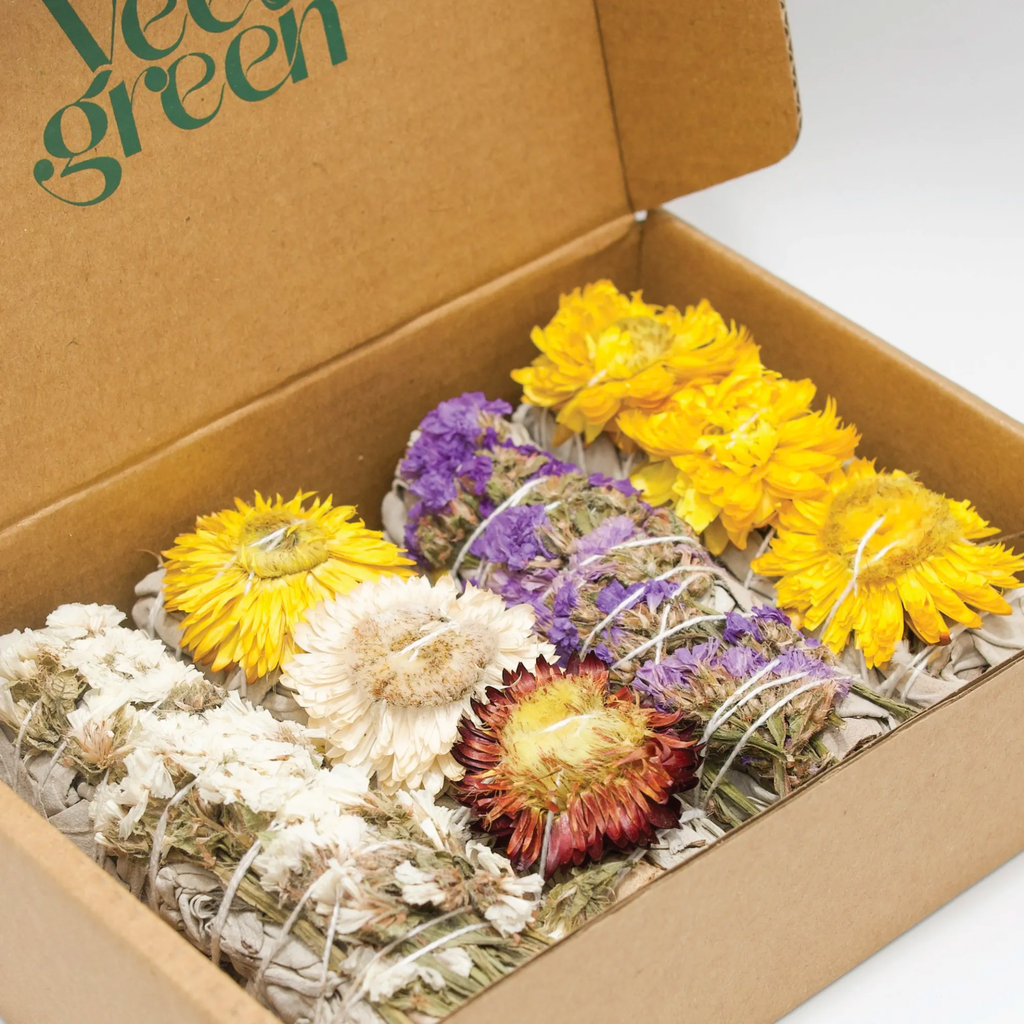 Box of 4 immortalised sages