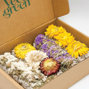 Box of 4 immortalised sages