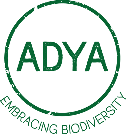 Brand - Internally: Adya