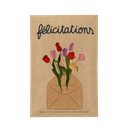 Sachet message : Felicitations